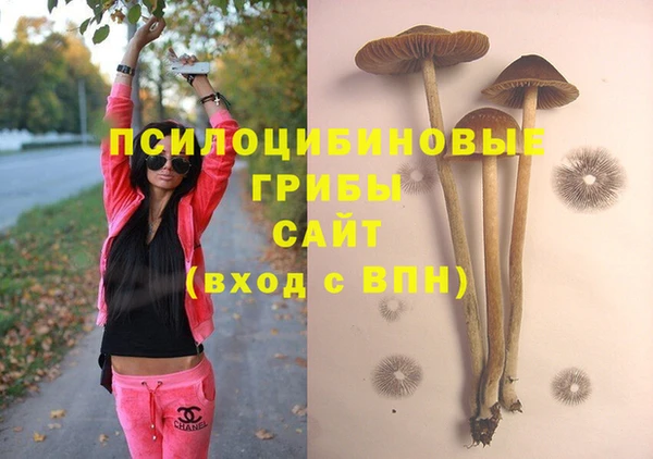 героин Вяземский