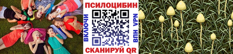 ОМГ ОМГ как войти  Ишим  Галлюциногенные грибы мицелий  где найти наркотики 